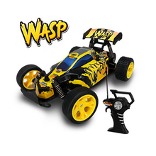 WASP RC                                           