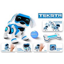 TEKSTA                                            
