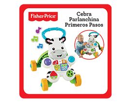 CEBRA PARLANCHINA                                 
