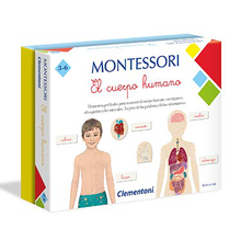 MONTESORI EL CUERPO HUMANO                        