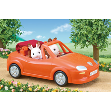 COCHE DESCAPOTABLE                                