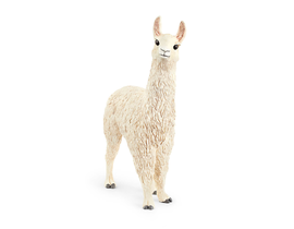 LLAMA                                             