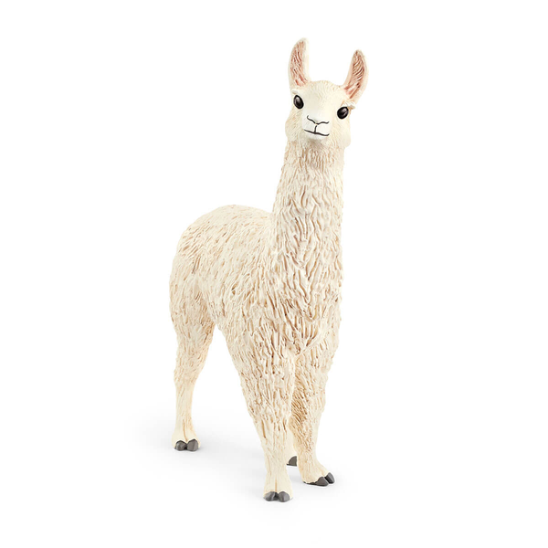 LLAMA                                             