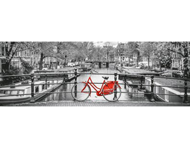 1000 Panorama Amsterdam Bici                      