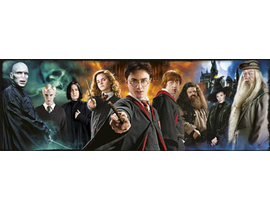 1000 PANORAMA HARRY POTTER                        