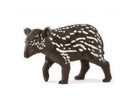 TAPIR MACHO                                       