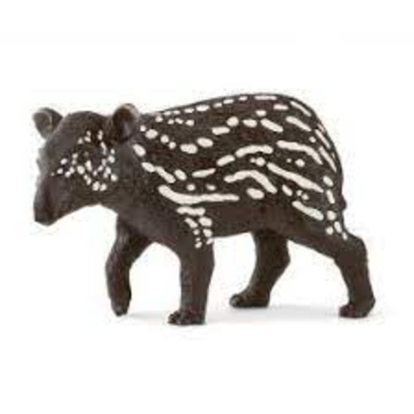 TAPIR MACHO                                       