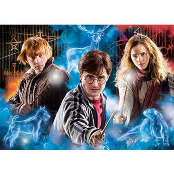 500 Harry Potter                                  