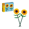 GIRASOLES                                         