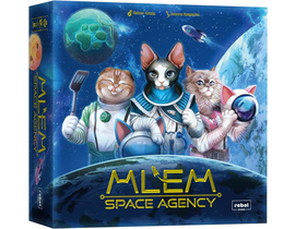 MLEM AGENCIA ESPACIAL                             