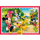 104 MINNIE A NICE AFTER                           