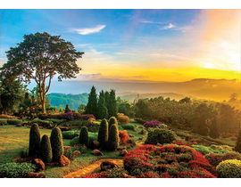 1000 JARDIN PRECIOSO                              