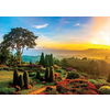 1000 JARDIN PRECIOSO                              
