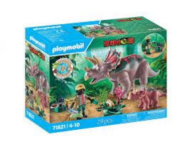 FAMILIA DE TRICERATOPS                            