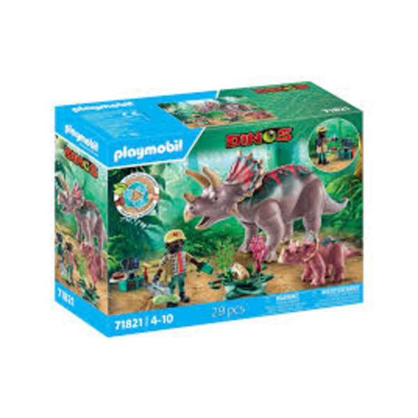 FAMILIA DE TRICERATOPS                            
