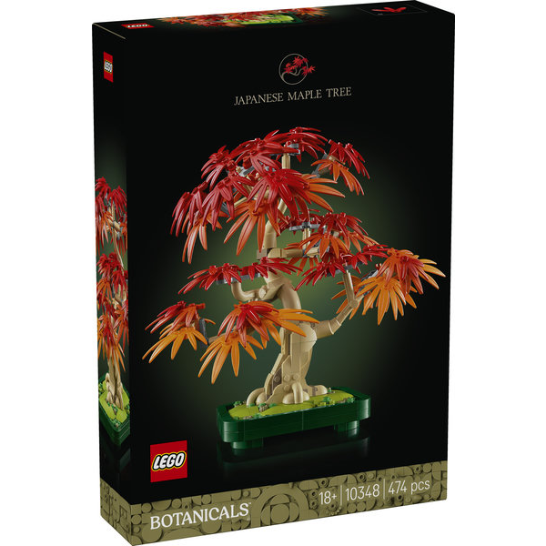 BONSAI DE ARCE ROJO JAPON                         