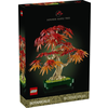BONSAI DE ARCE ROJO JAPON                         