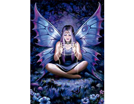 500 Teixidora d'encanteris. Anne Stokes           