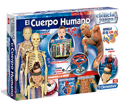 EL CUERPO HUMANO                                  