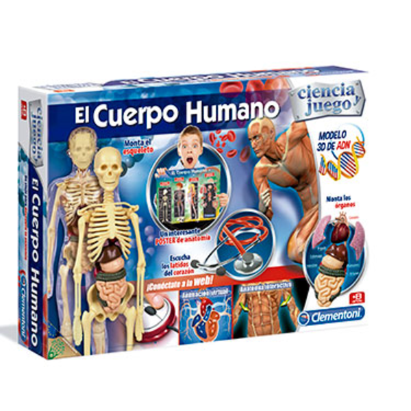 EL CUERPO HUMANO                                  