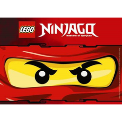 Lego Ninjago                  